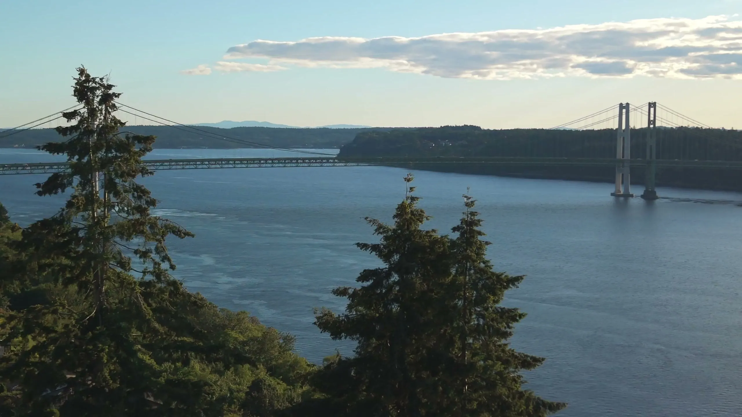 Opening frame of the Vista View Drive listing film: the Narrows Bridge over Puget Sound beyond evergreens